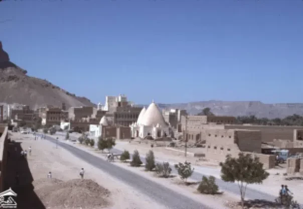 مدينة القطن 1972