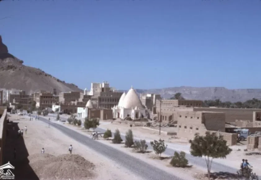 مدينة القطن 1972