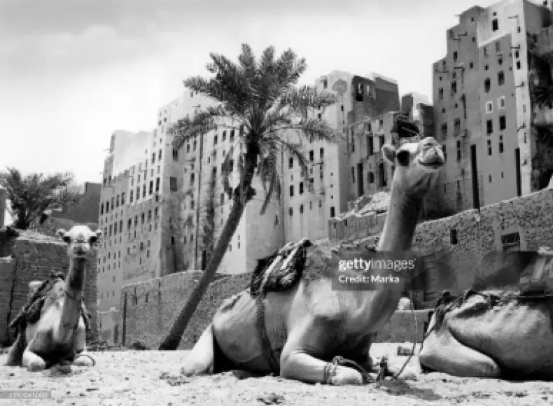 مدينة شبام 1957