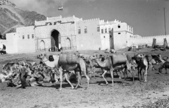 سدة المكلا 1946