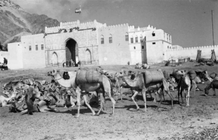 سدة المكلا 1946