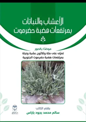 الأعشاب والنباتات بمرتفعات هضبة حضرموت