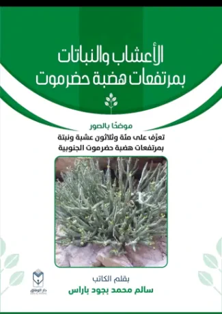 الأعشاب والنباتات بمرتفعات هضبة حضرموت