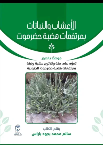 الأعشاب والنباتات بمرتفعات هضبة حضرموت