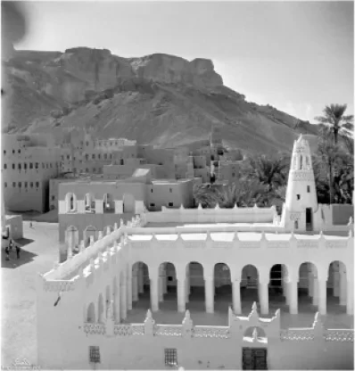 جامع القطن 1944 (1)