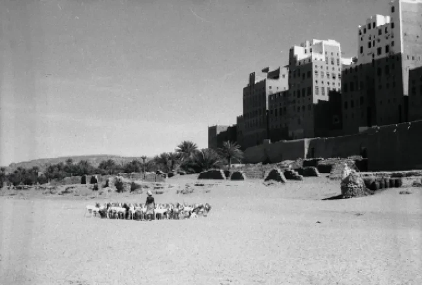 مدينة شبام 1931