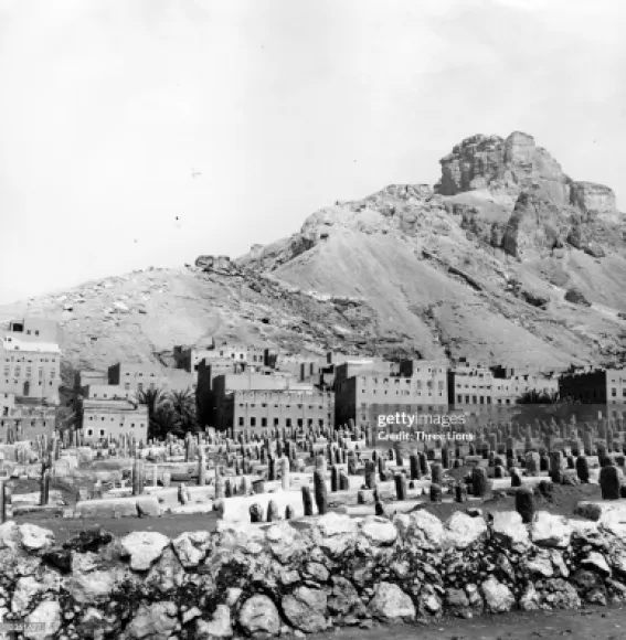 تربة تريم 1950