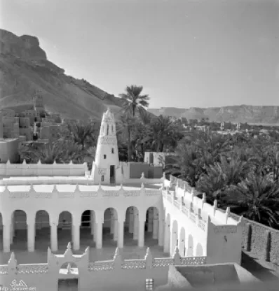 جامع القطن 1944