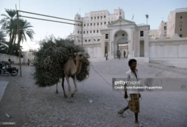 قصر سيؤون 1977