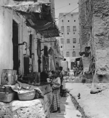 تجارة 1955