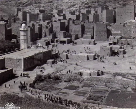 المجاعة في حضرموت 1941 – 1945 (3)