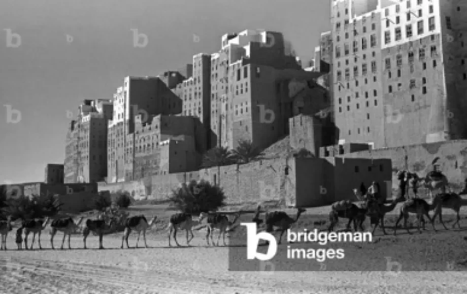 قافلة جمال 1947